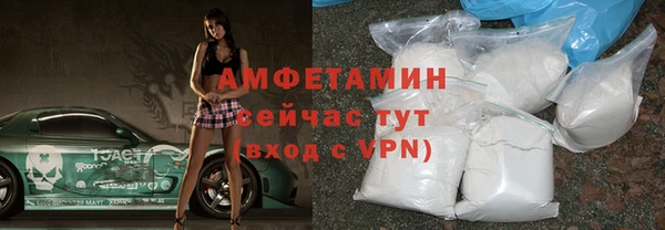 сатива Беломорск