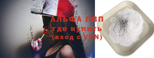 сатива Беломорск