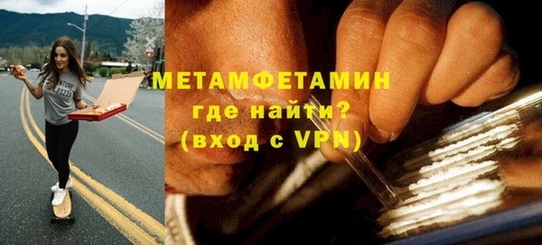 сатива Беломорск