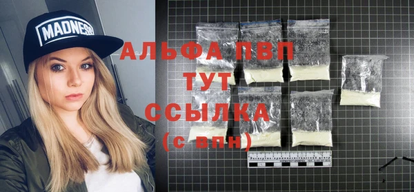 сатива Беломорск