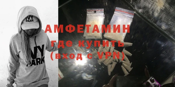 сатива Беломорск