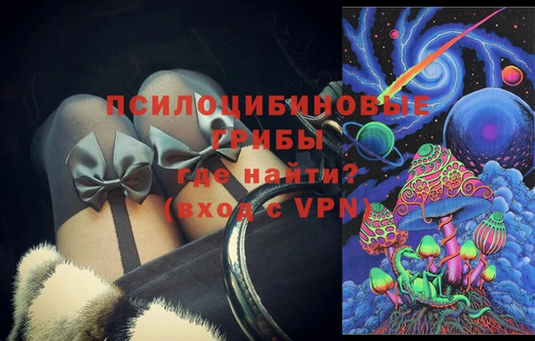 стаф Струнино